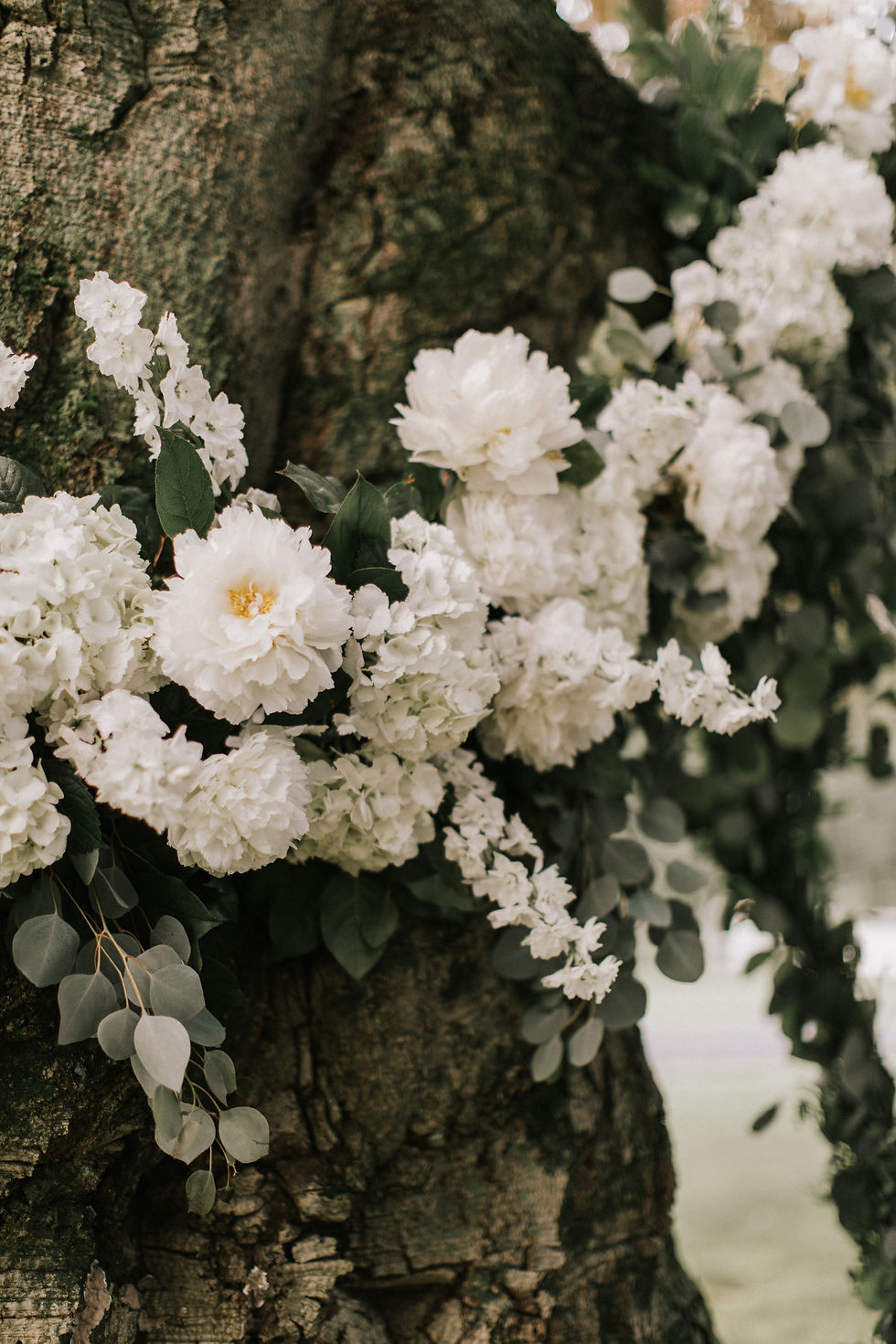 Fleur and Stitch, Fleur + Stitch, Fleur & Stitch, Jamie Mercurio Photography, Peirce Farm at Witch Hill, Wedding Flowers, Bouquet, Barn Wedding, Wedding Flowers, Boho Wedding, Flowers, Topsfield, Florist, Wedding florist, Barn, Rustic, Boho, Tree, Beach Tree, Ceremony Tree