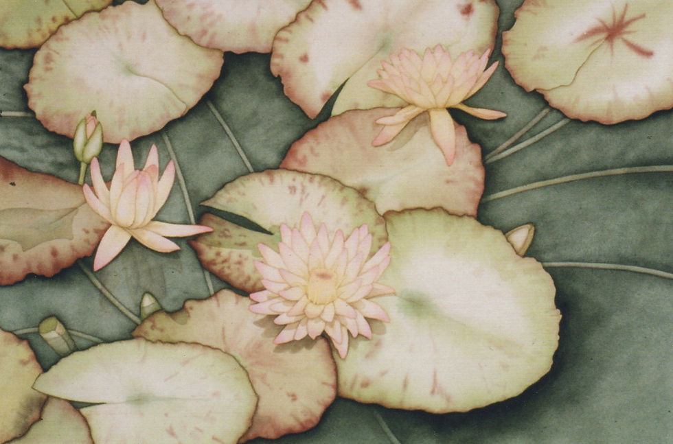 Waterlilies