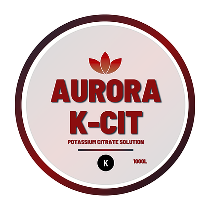 K-CIT label (14.5 x 14.5 cm).png