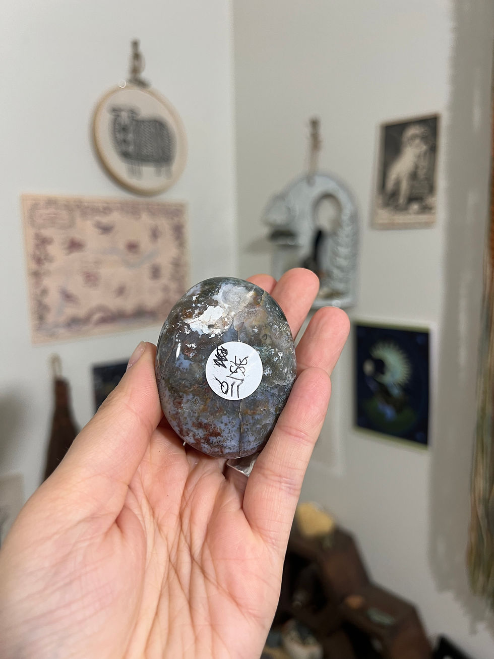 Thumbnail: Ocean Jasper Palm “A”