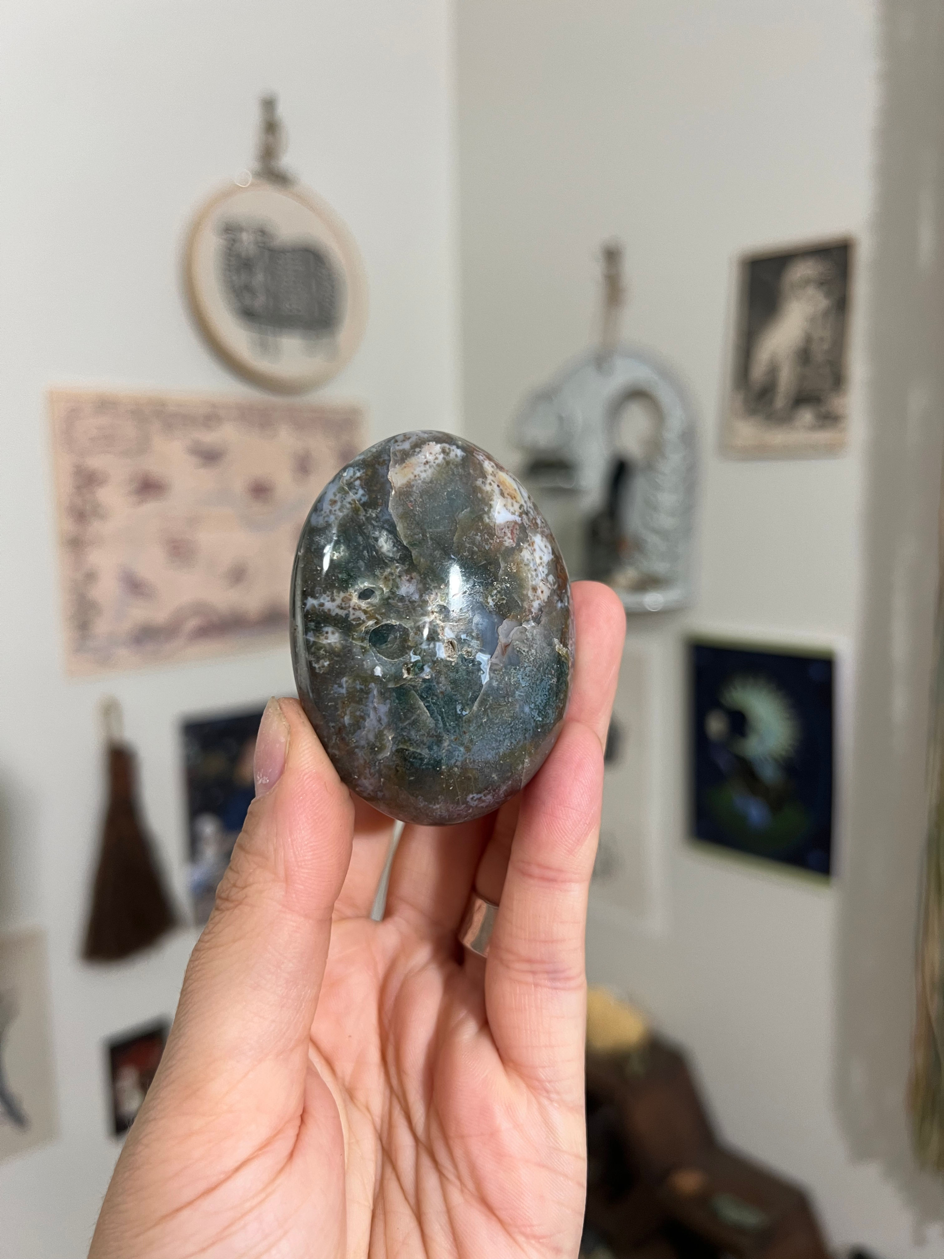 Ocean Jasper Palm “A”
