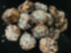 Frozen Banana Bites