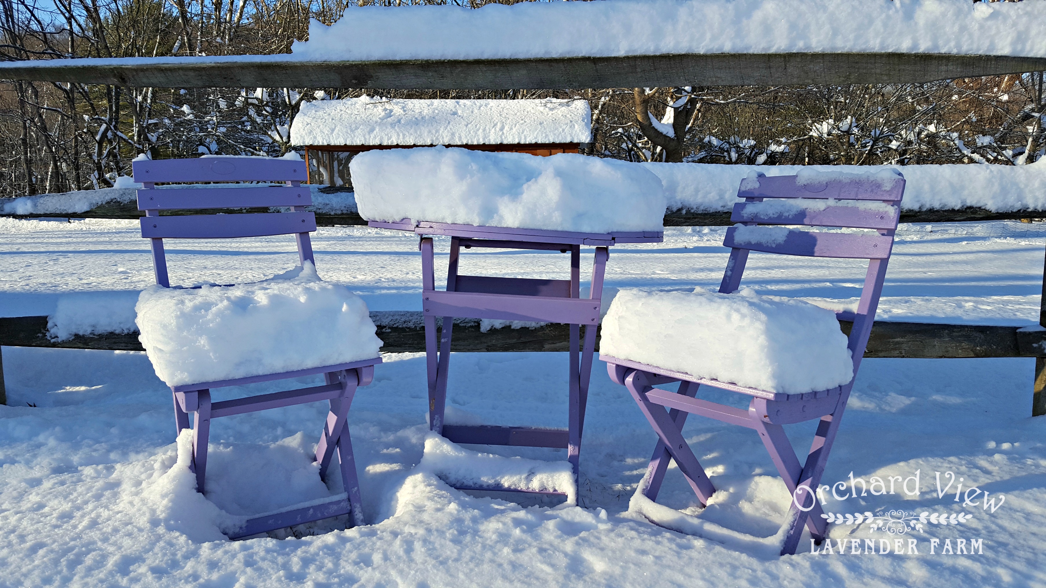 Orchard View Lavender Farm