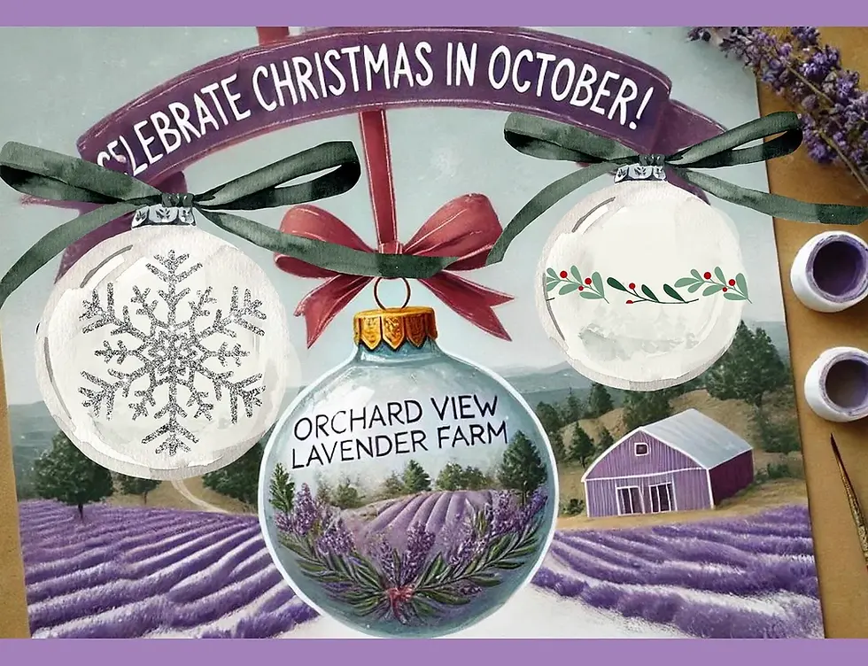 Ornament Painting Class