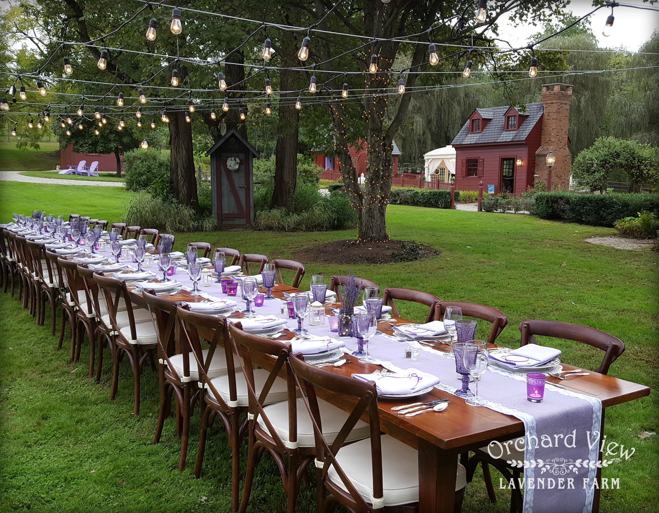 Orchard View Lavender Farm