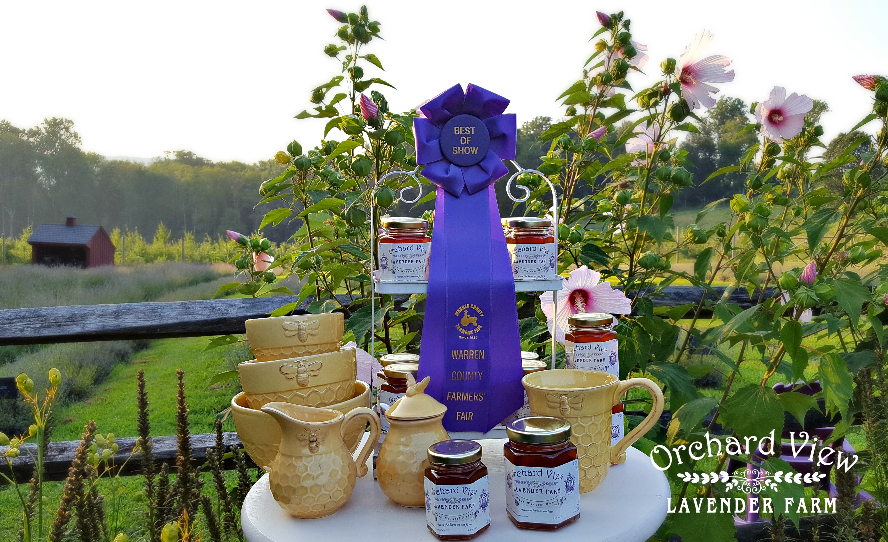 Orchard View Lavender Farm
