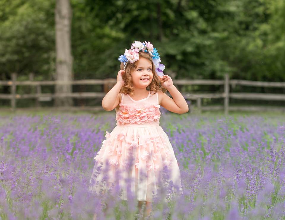 Orchard View Lavender Farm