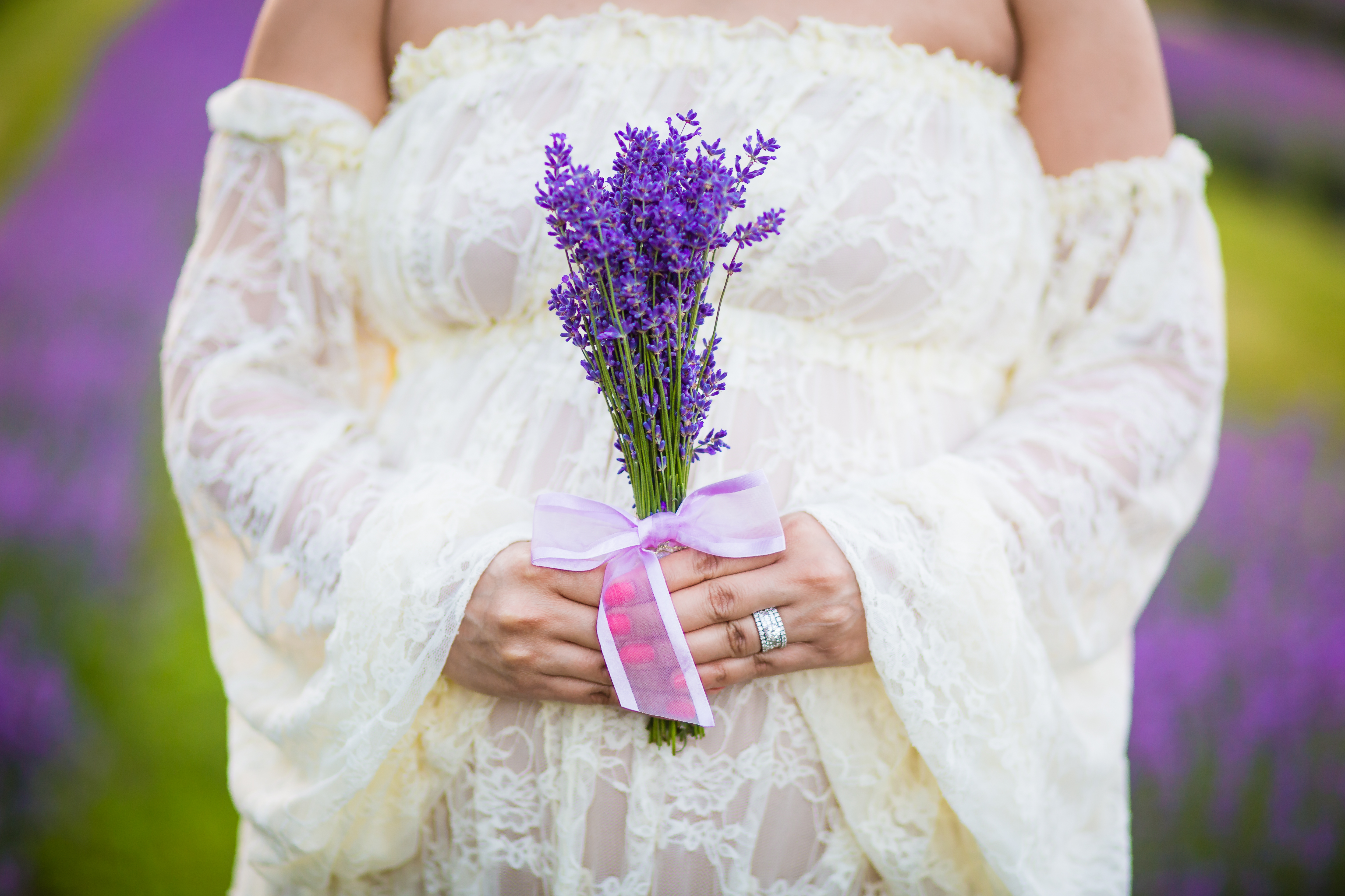 Orchard View Lavender Farm