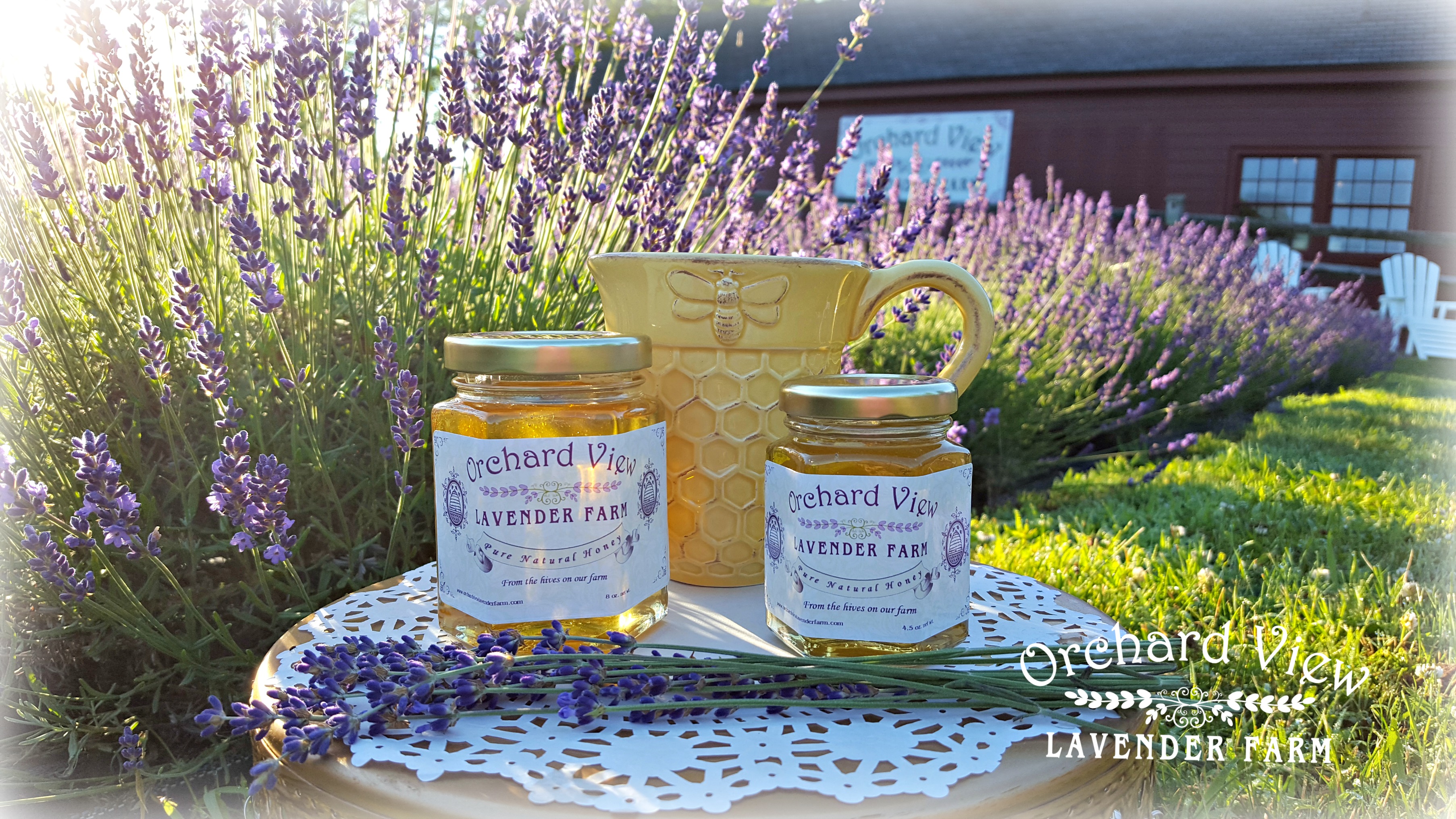 Orchard View Lavender Farm