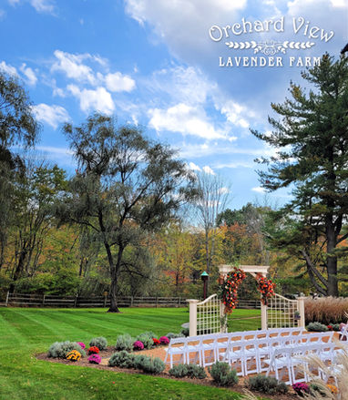 Weddings At Orchard View Lavender Farm