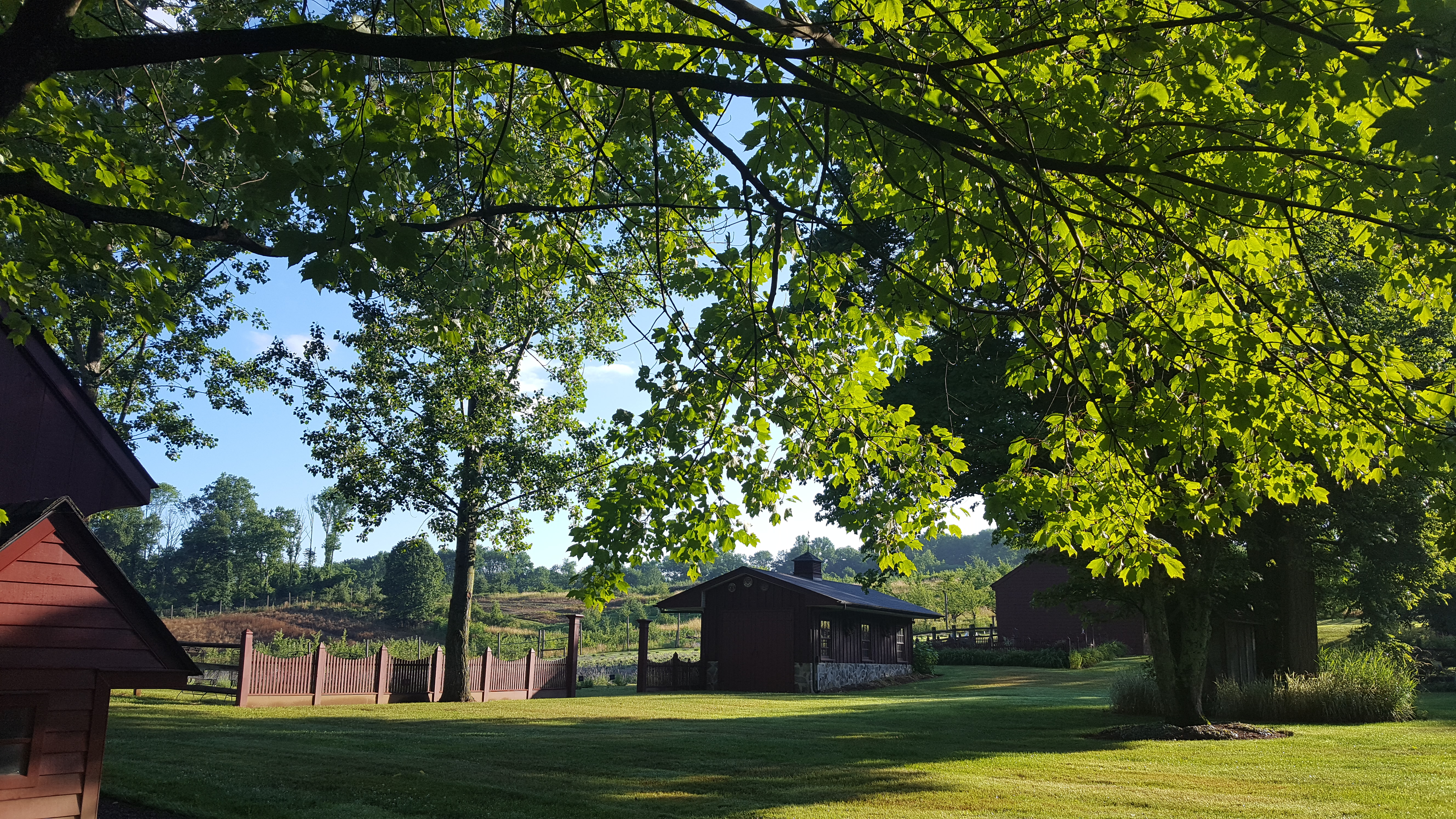 Orchard View Lavender Farm