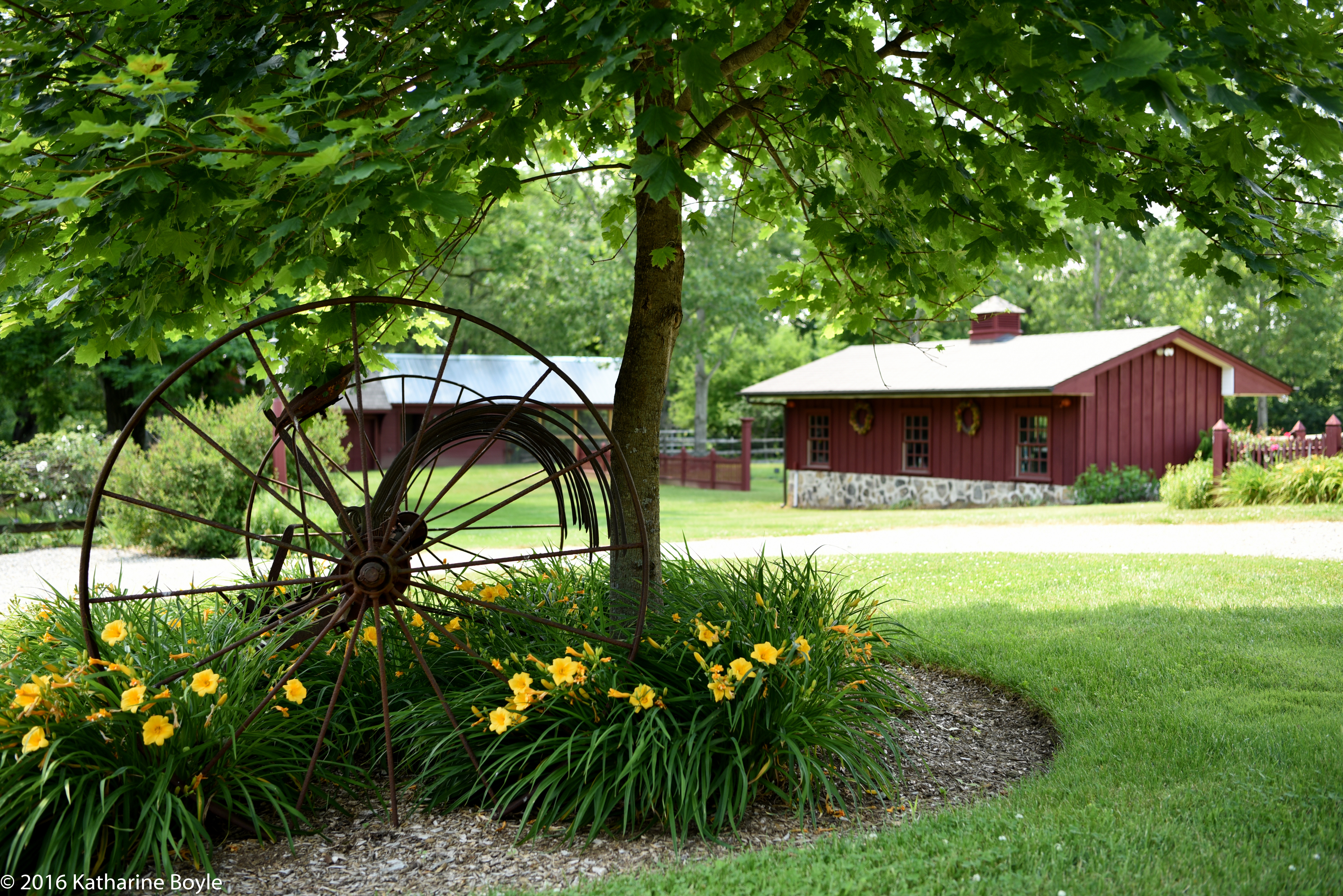 Orchard View Lavender Farm