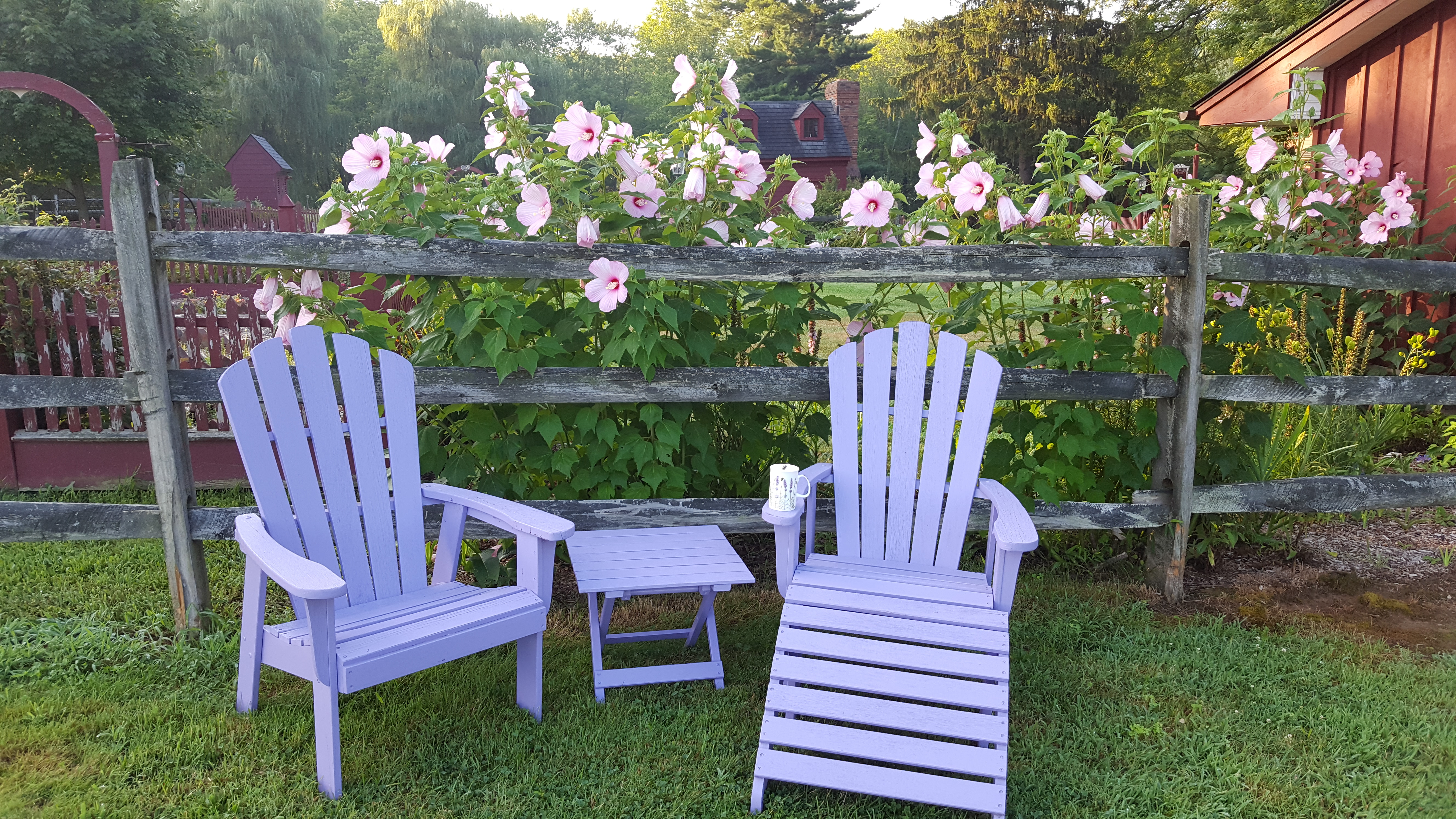 Orchard View Lavender Farm