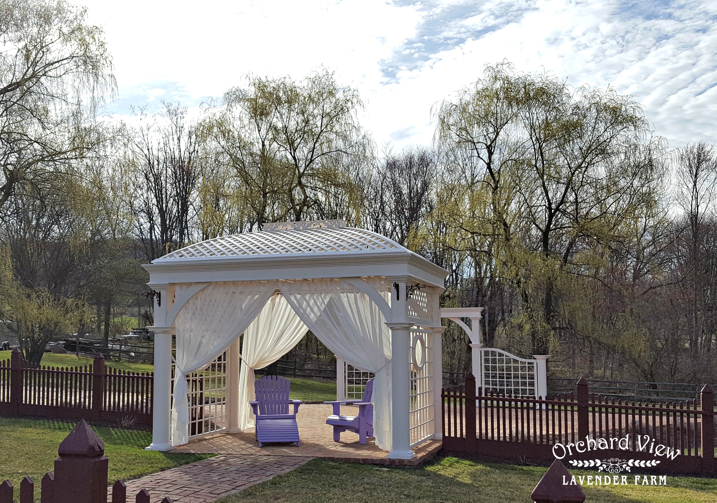 Orchard View Lavender Farm