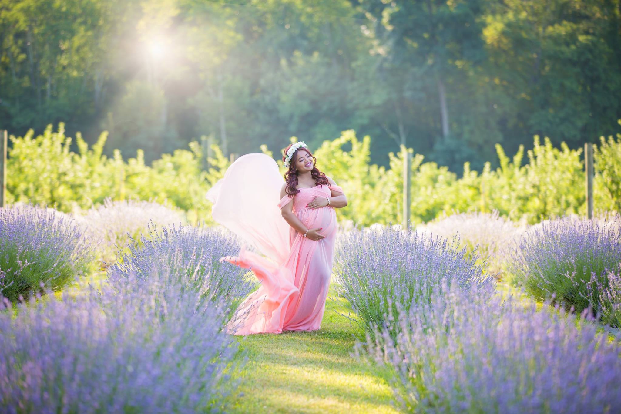 Orchard View Lavender Farm