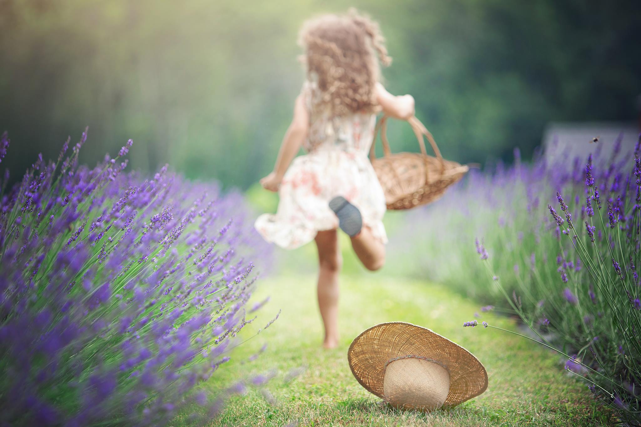 Orchard View Lavender Farm