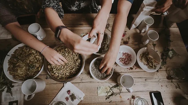The Herbarium Project