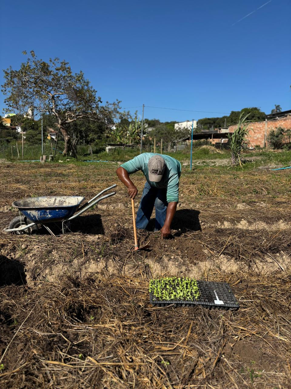Arturos – Soberania Alimentar Quilombola