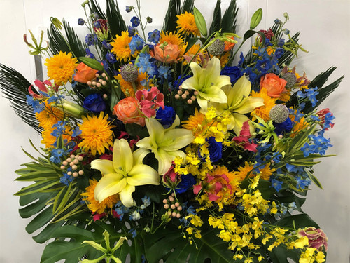 アルベロベロ カラフルな花と蝶のプリントタンクトップ 五月蝿く