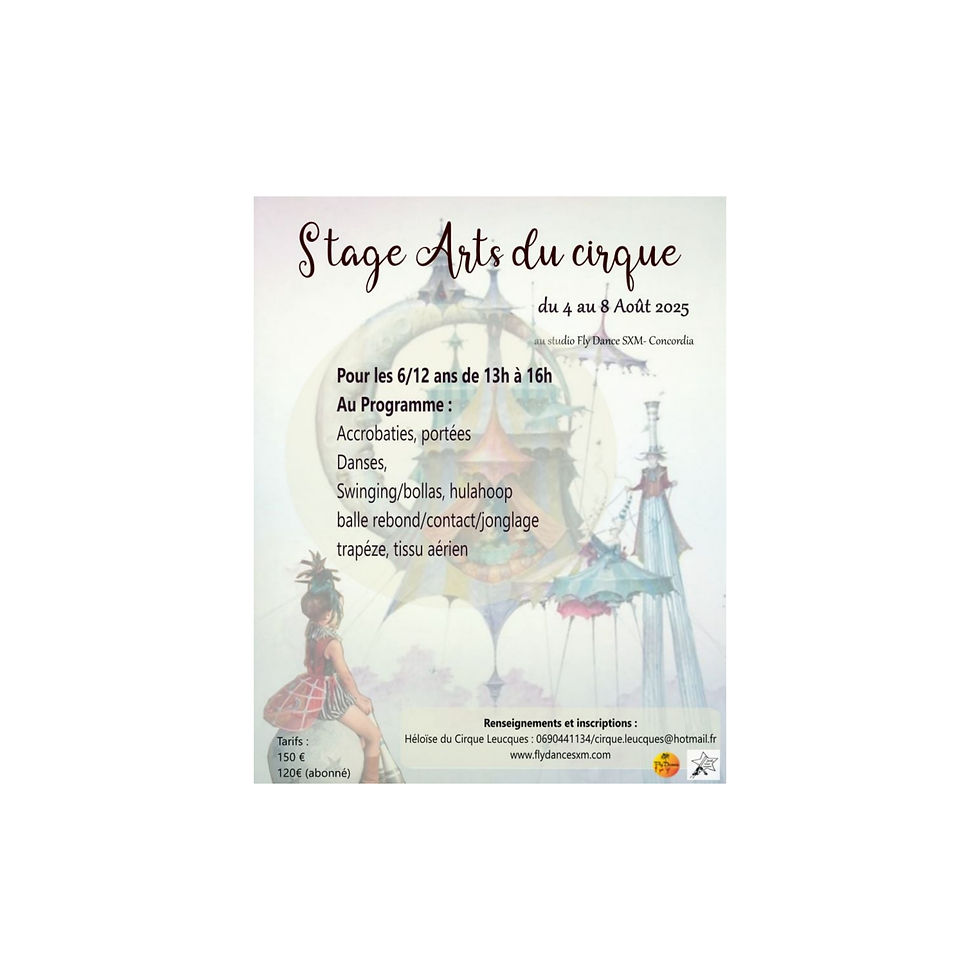 Stage du cirque 4-8.08.2025