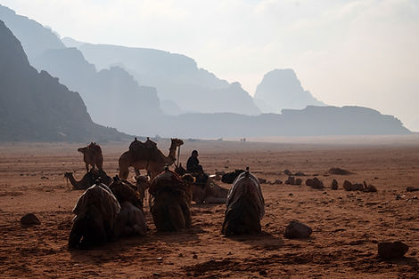 Une visite en groupe à dos de chameau dans le Wadi Rum