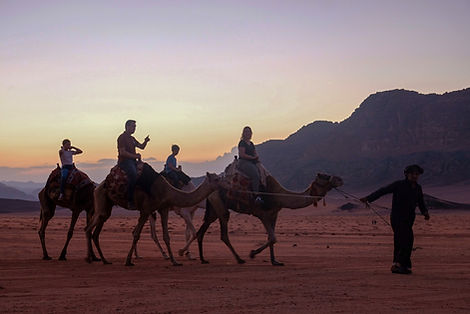 Une balade à dos de chameau dans le Wadi Rum