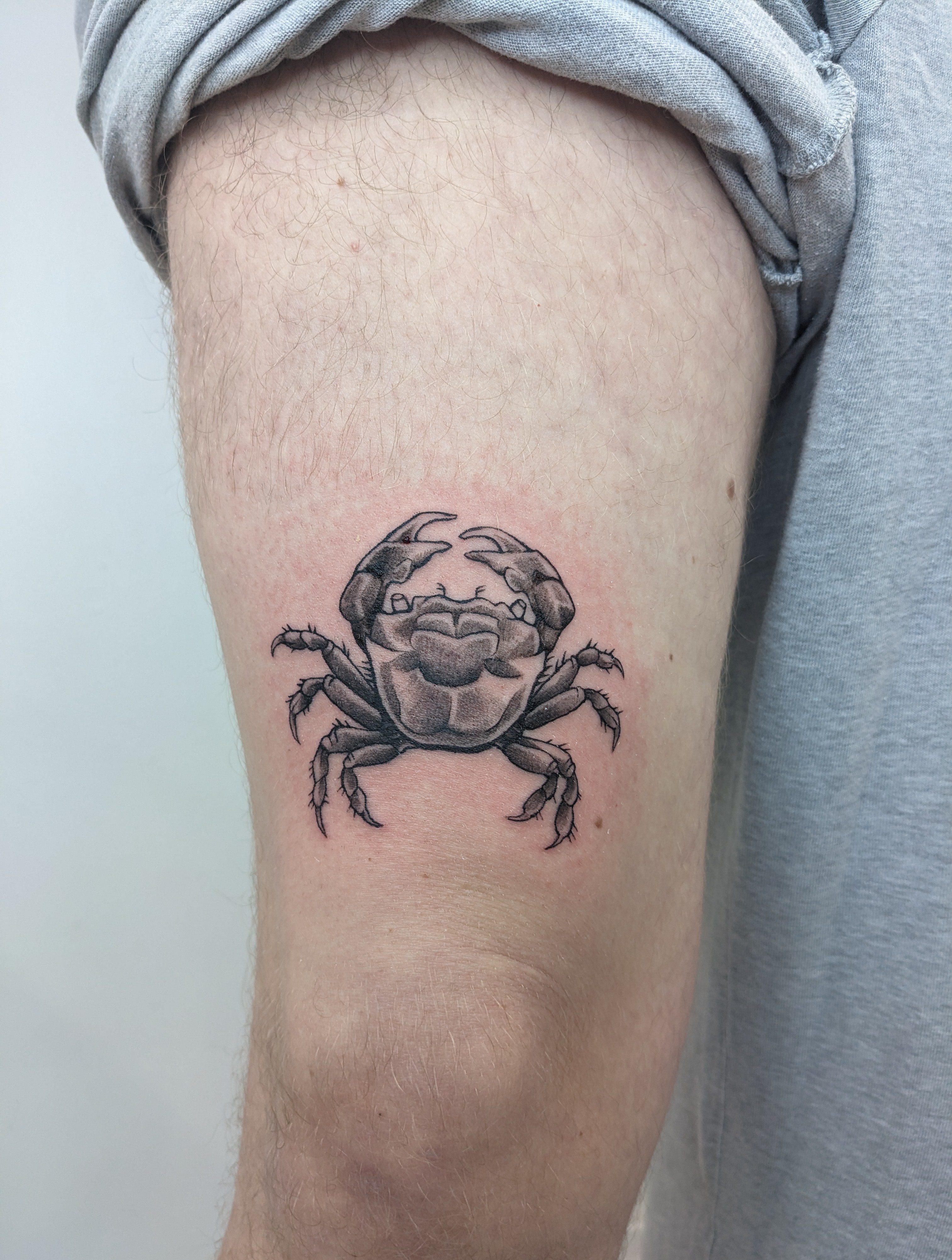 Small black-and-grey tattoo depicting a front-facing crab with softly shaded claws and shell