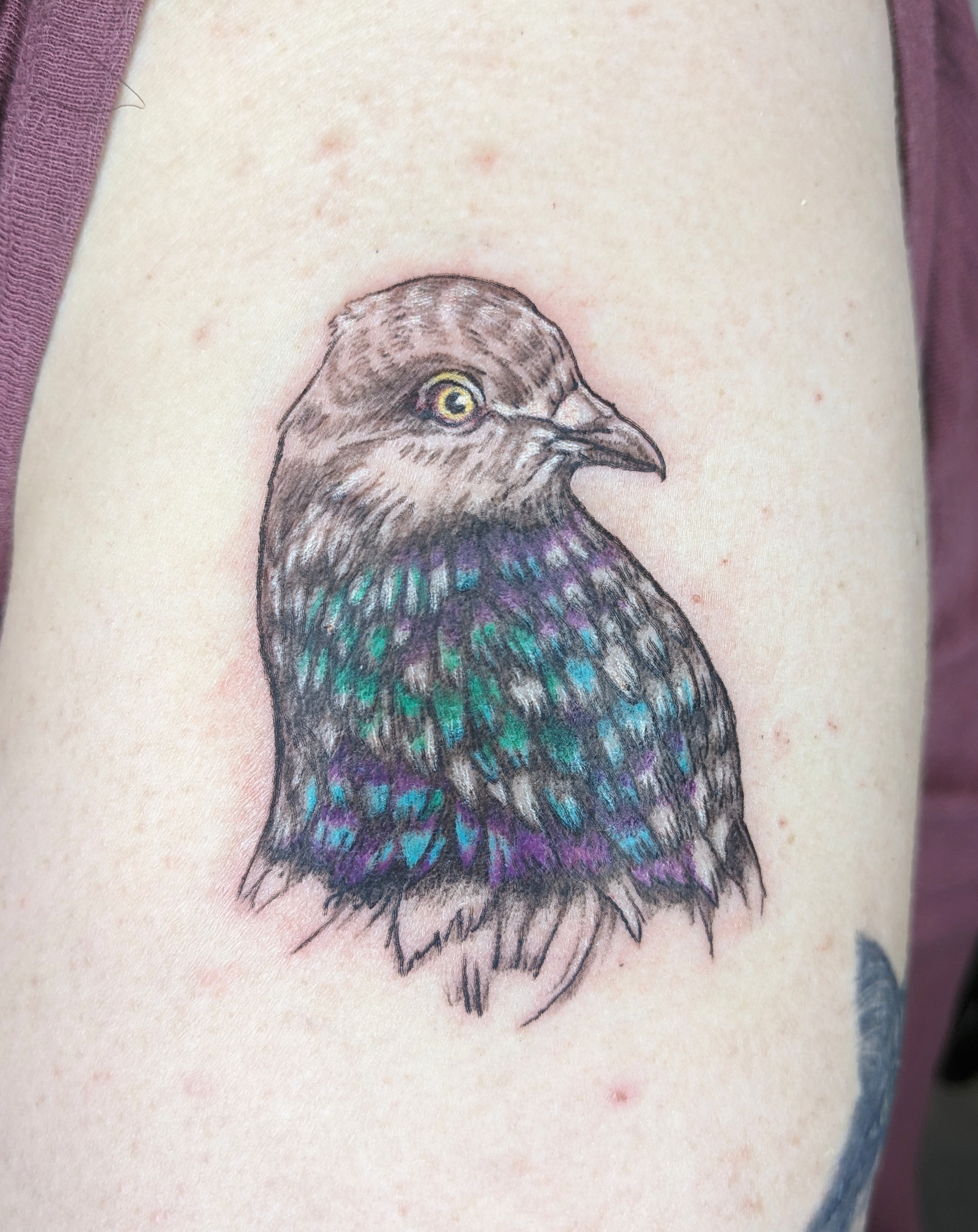 Tattoo depicting a dark bird's head with a yellow eye and turquoise and violet feather accents