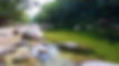 DSC06204.jpg