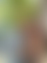 Who Are We? What Is Solilu?