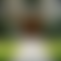 Gestão de Condomínios: Dicas para uma Administração Eficiente