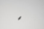 DSC08192-2.jpeg