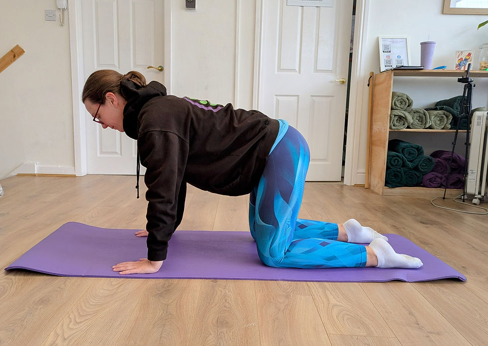 Pilates four point kneeling