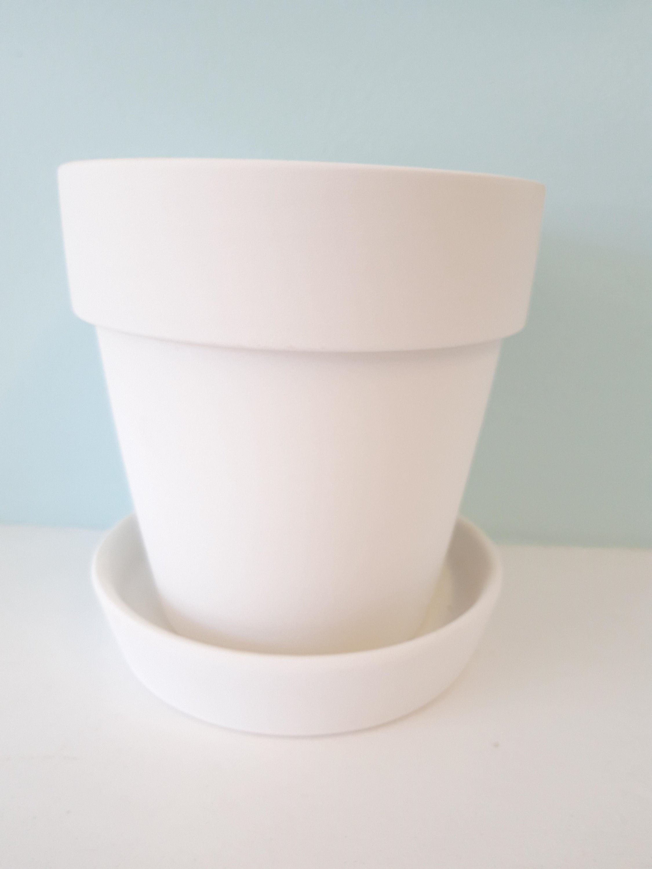 plant pot
