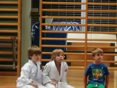 Erfolgreicher Auftritt beim Weinviertel Cup – Judo Club Yama Arashi glänzt mit Nachwuchstalenten