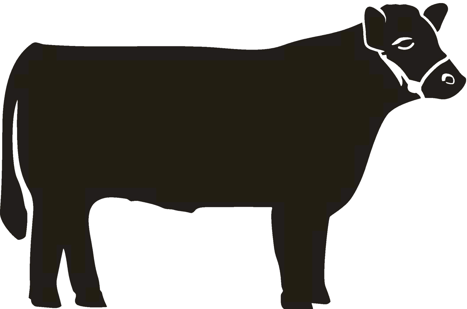 beef cow.gif