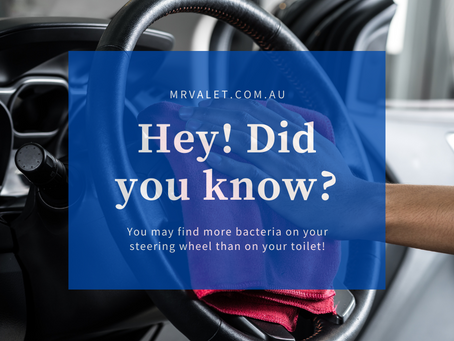 Steering Wheel Bacteria