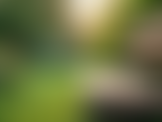 Why Adult Mental Well-Being Matters