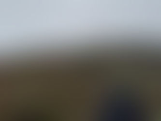 1 to 1 Walk and Talk Therapy