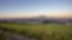 De-Grendel-View.jpeg