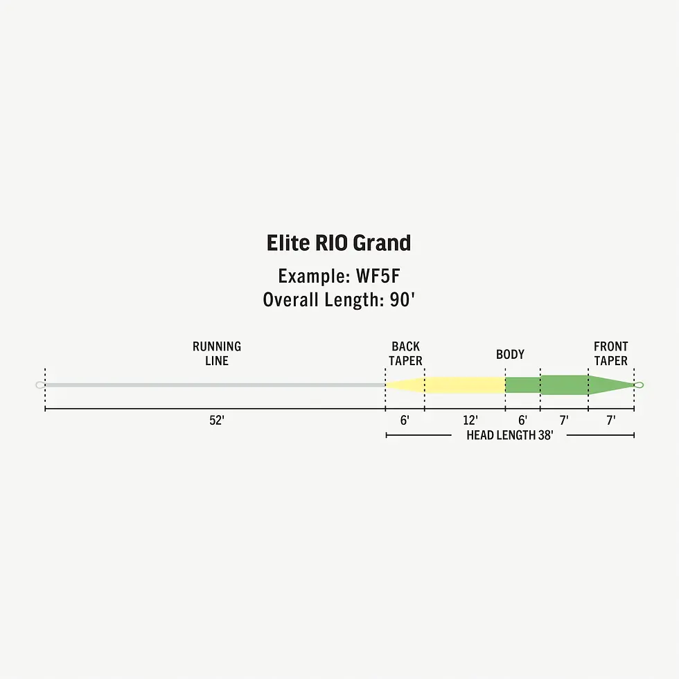 Thumbnail: Rio Grand Elite
