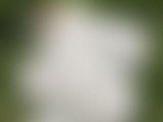 Sustainable gardening tips shared