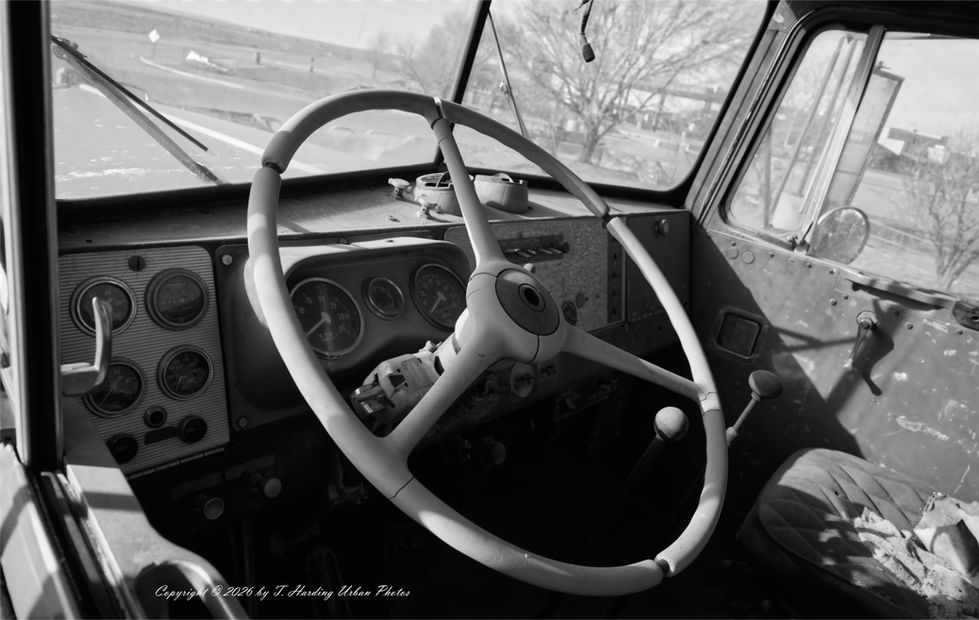 _DSC1173