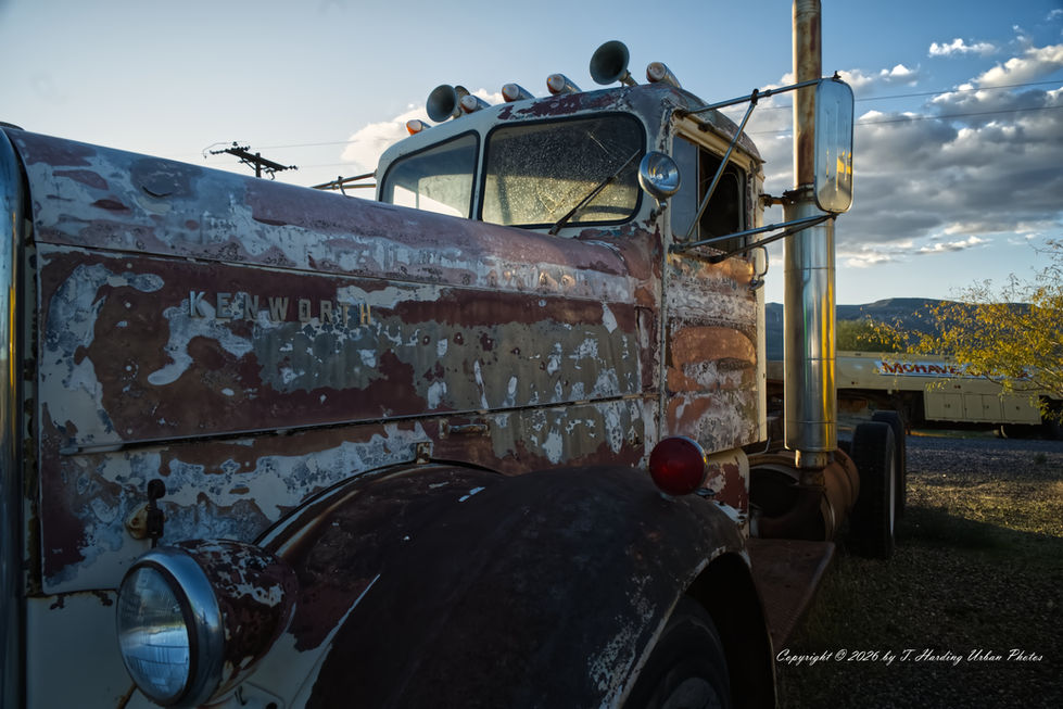 _DSC1393