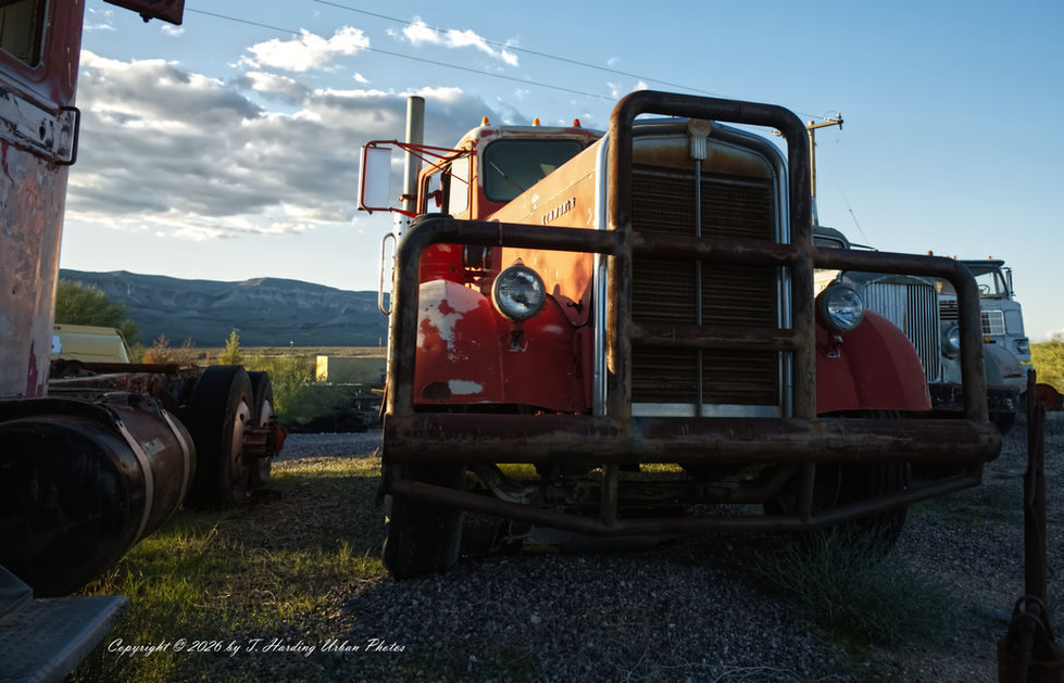 _DSC1402