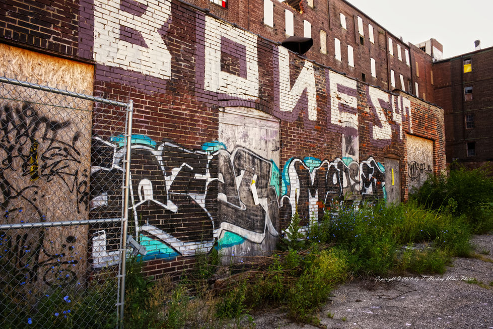 _DSC0188