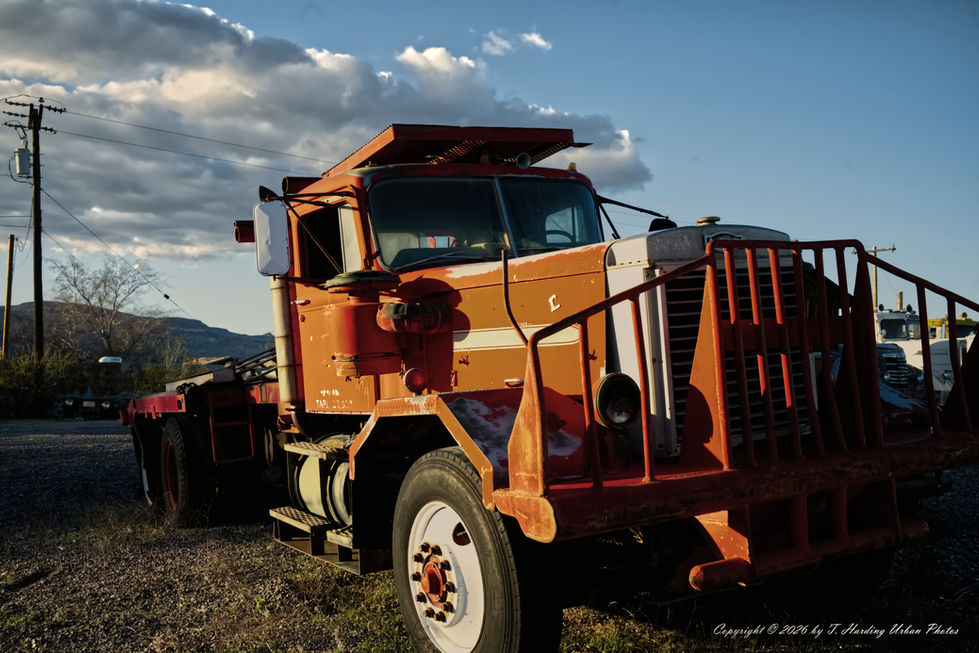 _DSC1363