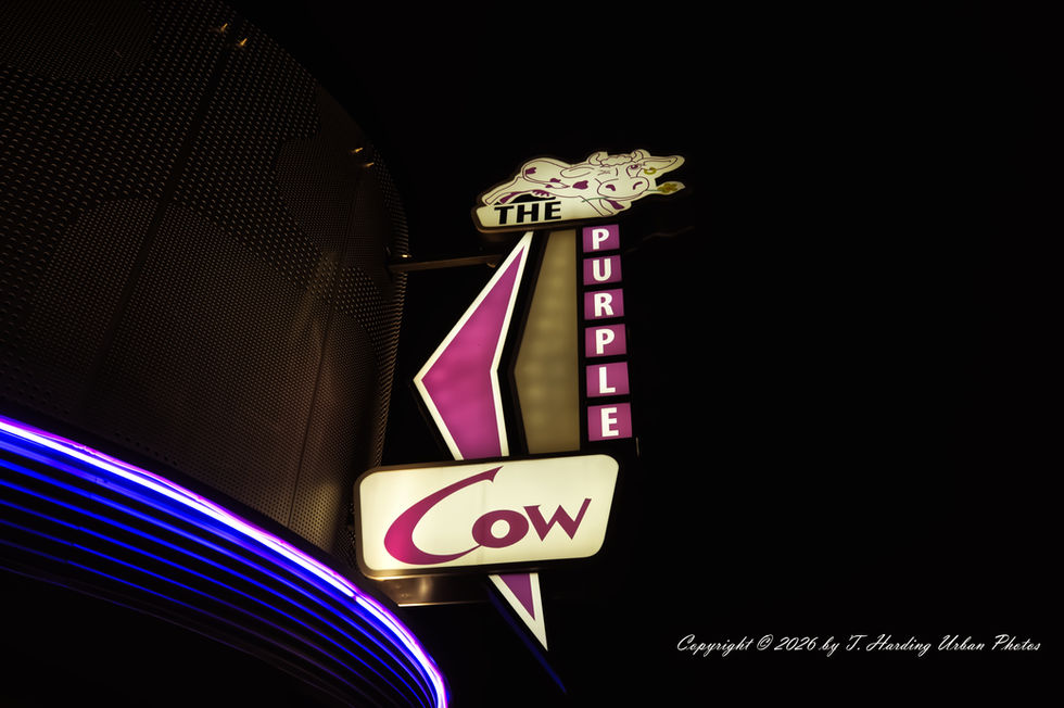 _DSC0061