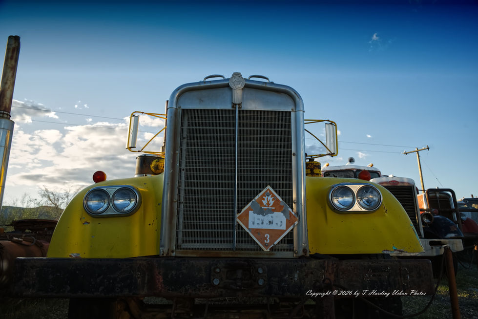 _DSC1395