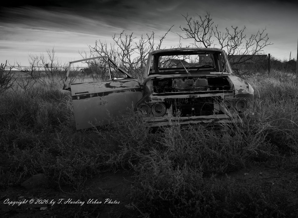 _DSC1722